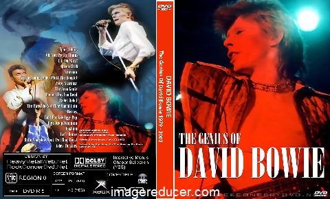 DAVID BOWIE The Genius Of David Bowie 1979 - 2002.jpg
